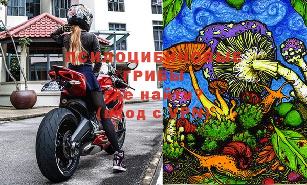 герыч Горнозаводск