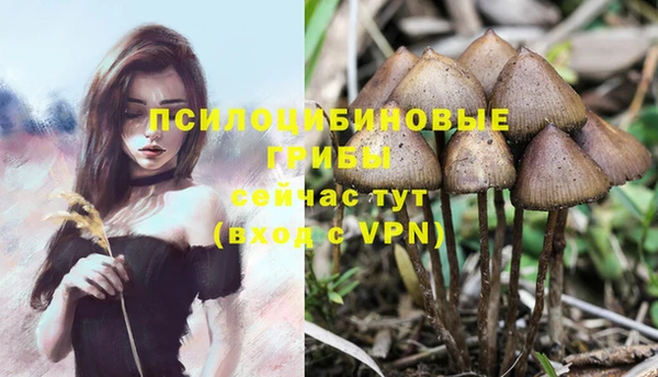 кокаин колумбия Горно-Алтайск