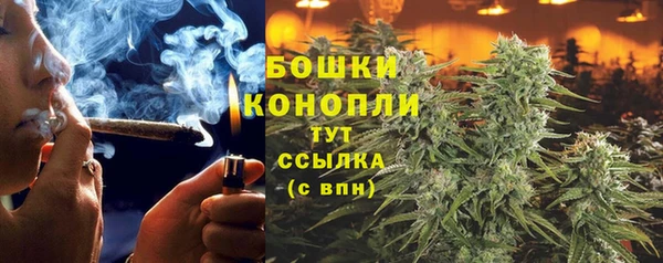 мескалин Горняк