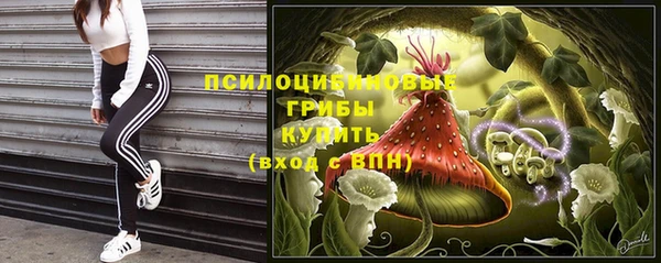мескалин Горняк