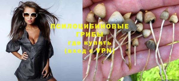 мескалин Горняк