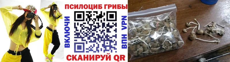 Купить где  Череповец  Псилоцибиновые грибы прущие грибы 